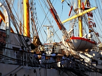 Tall Ships Racess