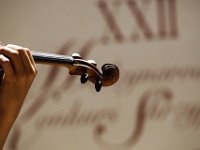 Telemann XXII KULISY (12)