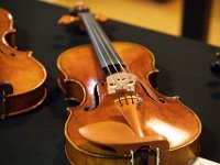 Telemann XXII KULISY (164)