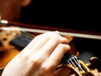 Telemann 2025 Sesje (14) 1