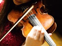 Telemann 2025 Sesje (158)