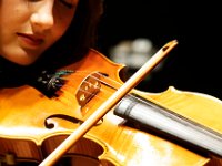 Telemann 2025 Sesje (22) 1